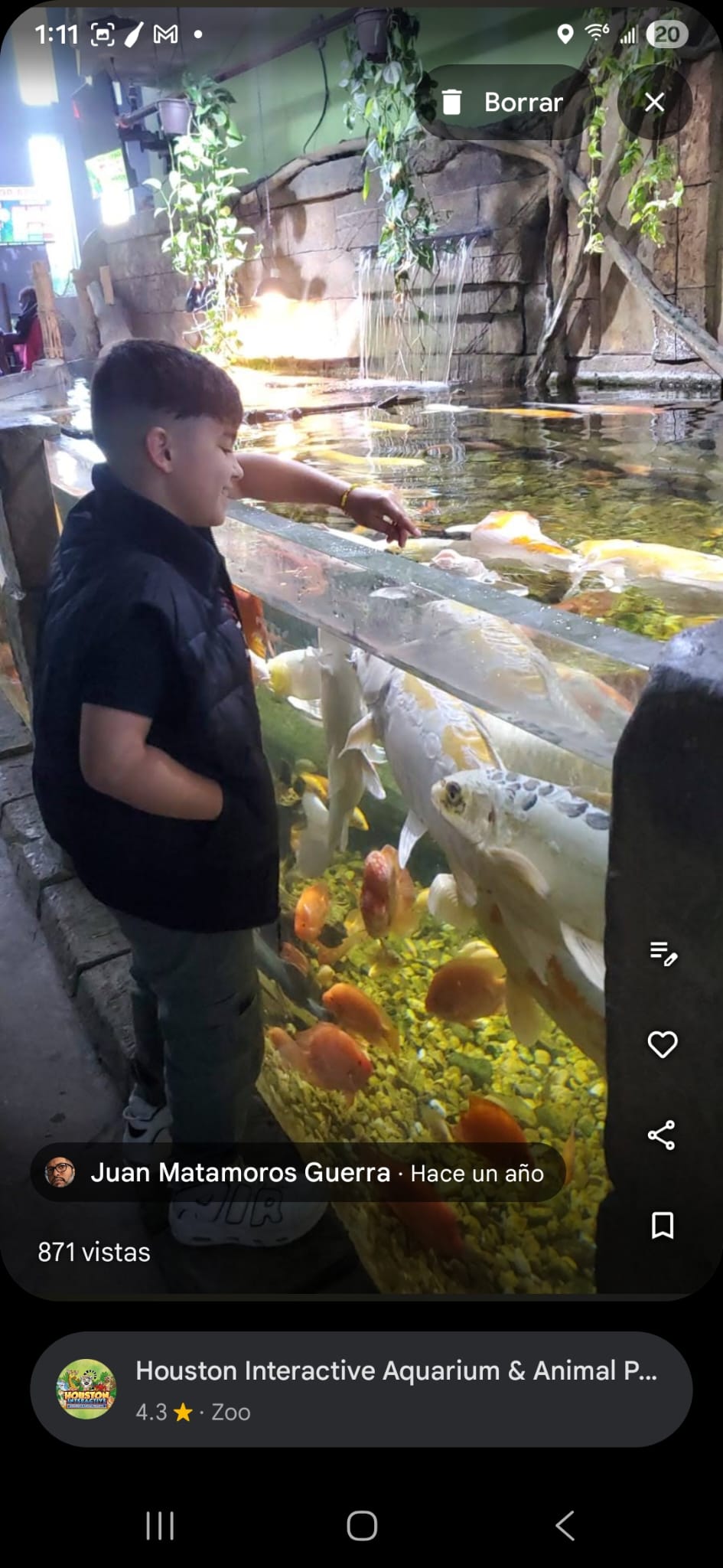 Houston Interactive Aquarium & Animal Preserve: un viaje entre tierra y mar